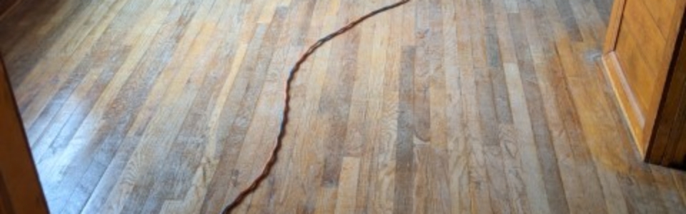 PXL_20201026_180849383