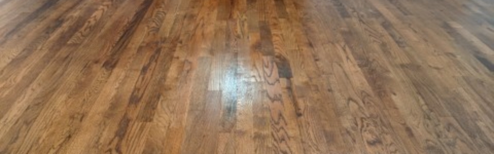 PXL_20201030_171305556